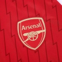 Koszulka Piłkarska Arsenal Londyn2023/2024 Home Fan