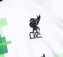 Piłkarski Komplet Strój Dziecięcy Liverpool FC Away 2023/2024, Salah, Darwin